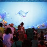 ocean-park-wladyslawowo-opinie-atrakcje